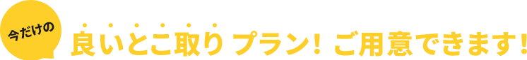 そんな企業様の声から生まれた、良いとこ取り プラン！ご用意できます！